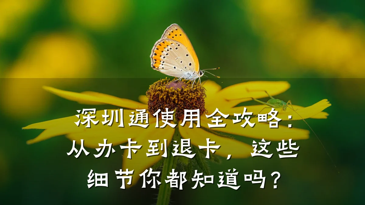 深圳通使用全攻略:从办卡到退卡,这些细节你都知道吗?