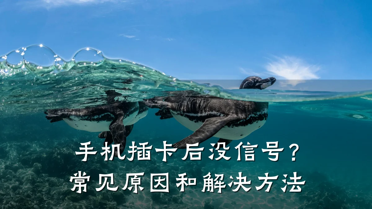 手机插卡后没信号?常见原因和解决方法