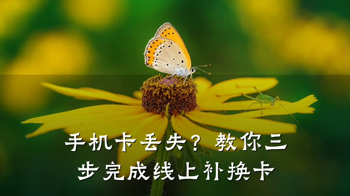 手机卡丢失?教你三步完成线上补换卡