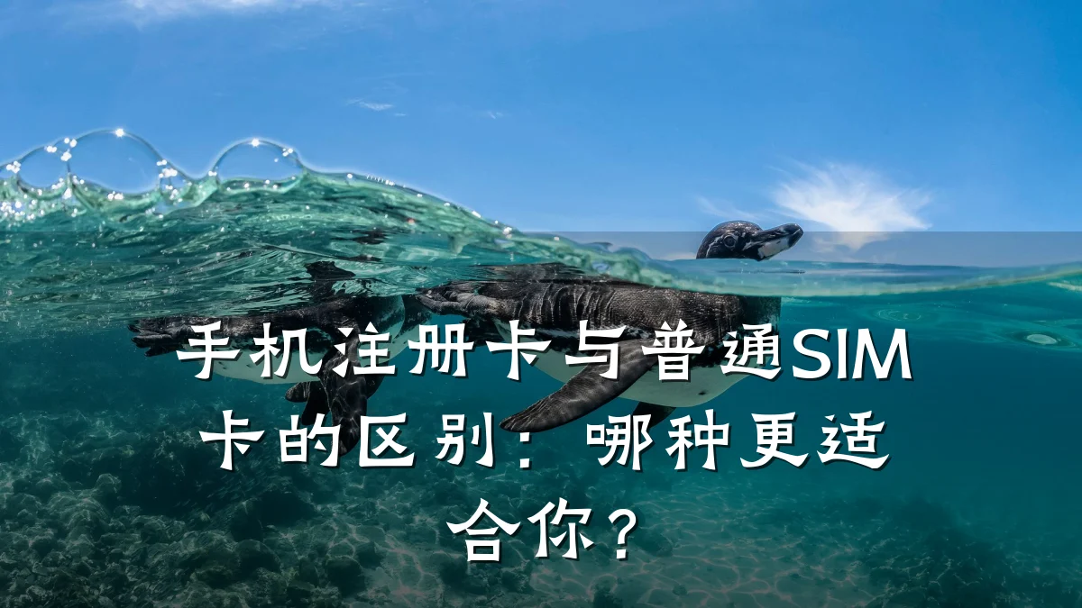 手机注册卡与普通SIM卡的区别:哪种更适合你?