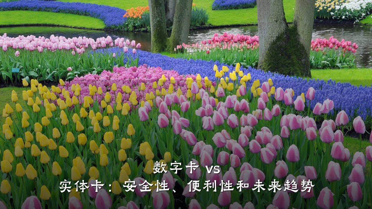 数字卡 vs 实体卡:安全性、便利性和未来趋势