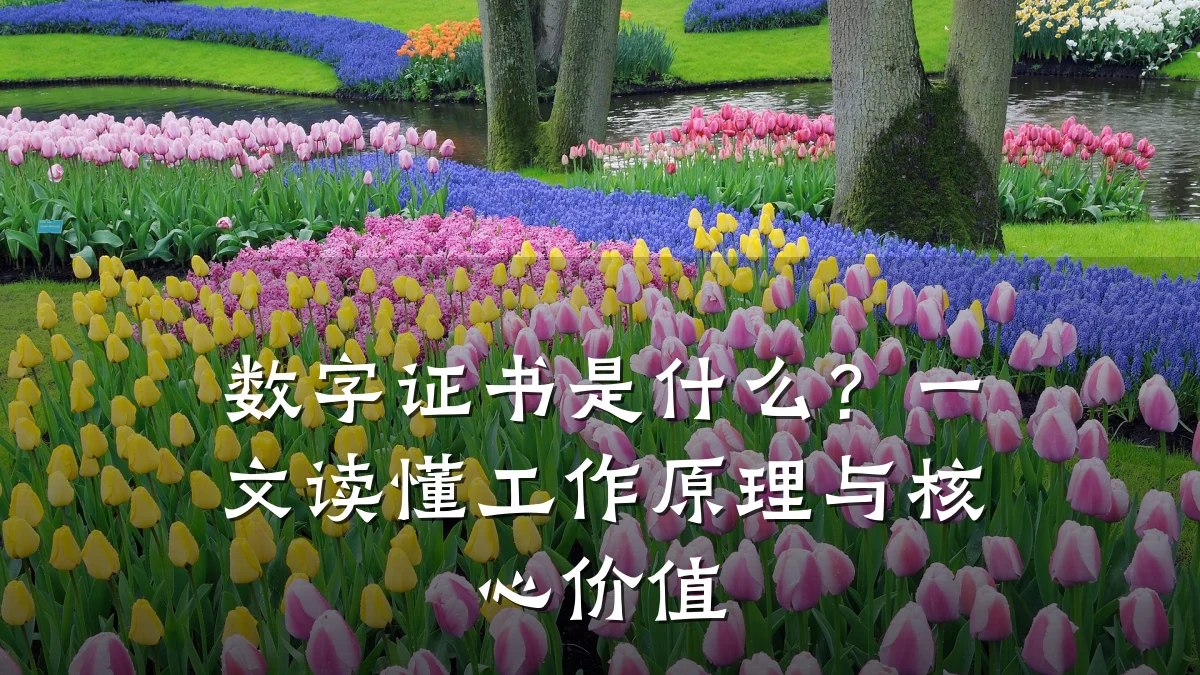 数字证书是什么?一文读懂工作原理与核心价值
