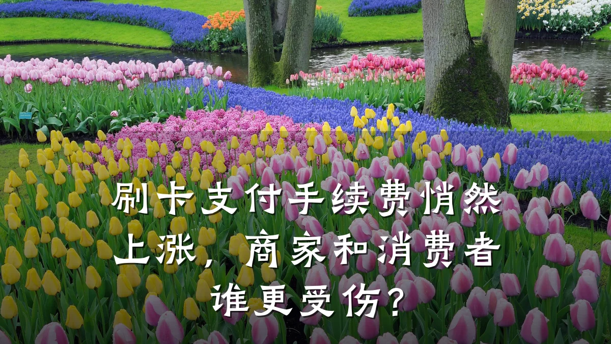 刷卡支付手续费悄然上涨,商家和消费者谁更受伤?