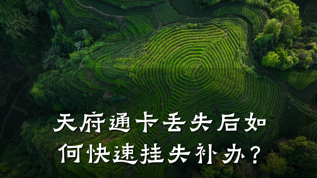 天府通卡丢失后如何快速挂失补办?