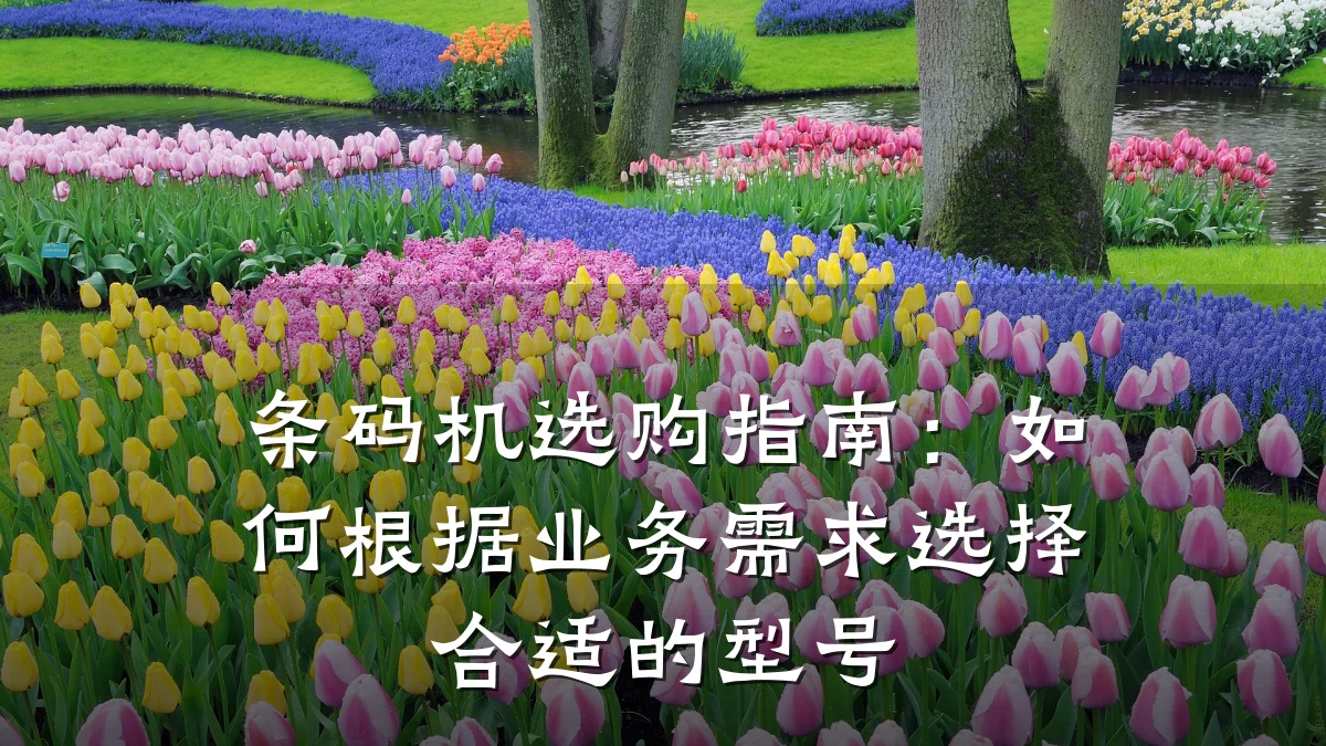 条码机选购指南:如何根据业务需求选择合适的型号