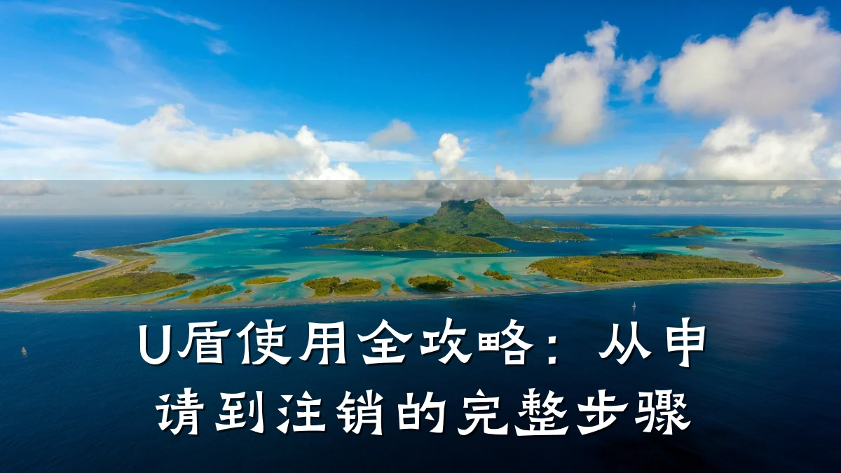 U盾使用全攻略:从申请到注销的完整步骤