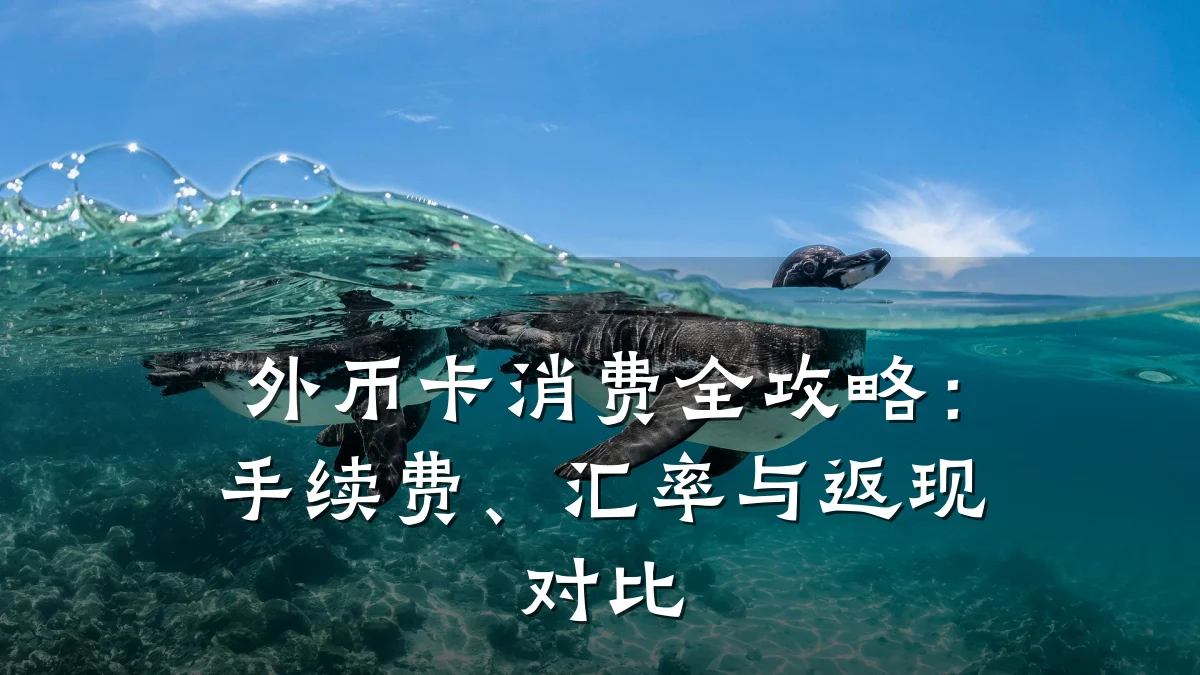 外币卡消费全攻略:手续费、汇率与返现对比