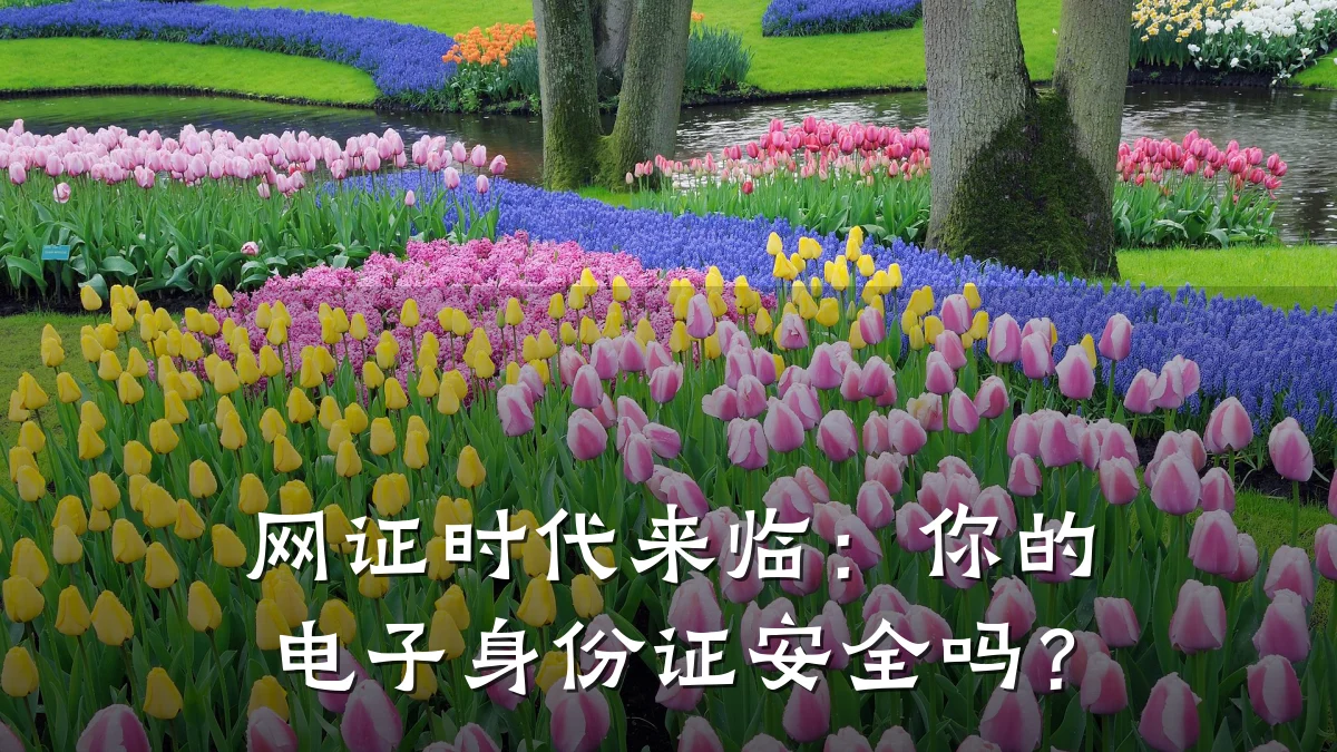 网证时代来临:你的电子身份证安全吗?