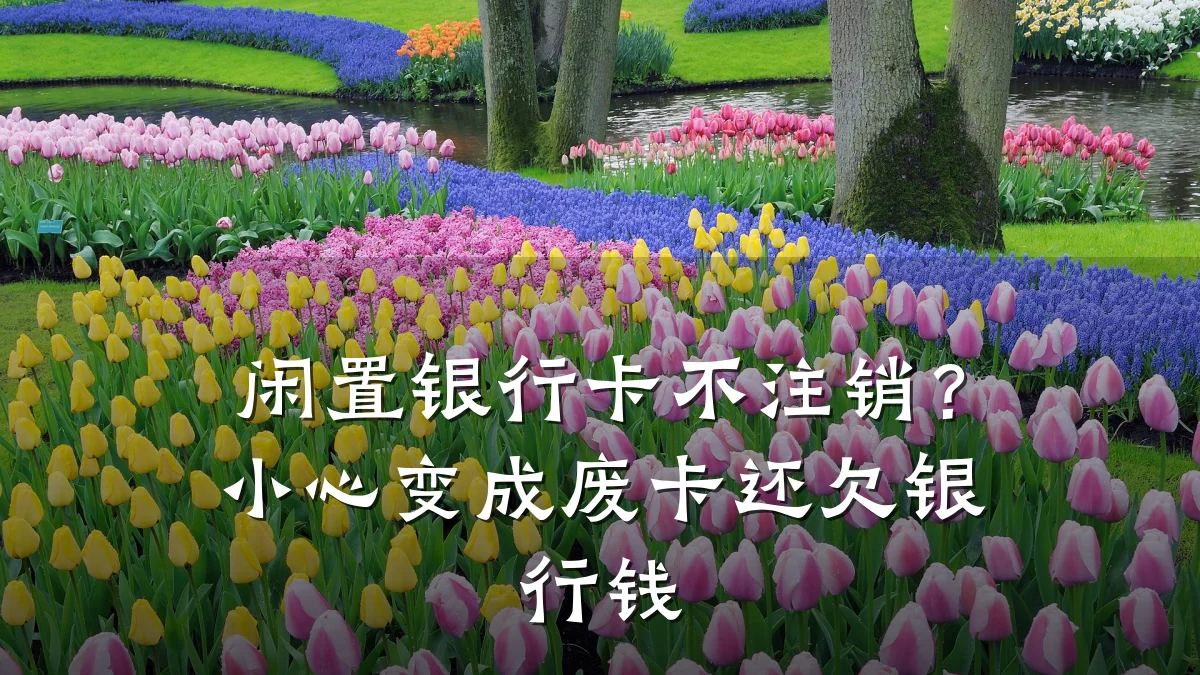 闲置银行卡不注销?小心变成废卡还欠银行钱