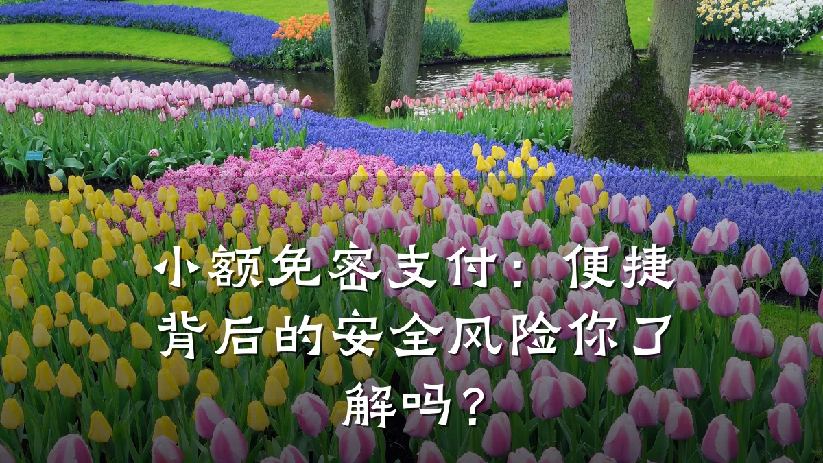 小额免密支付:便捷背后的安全风险你了解吗?