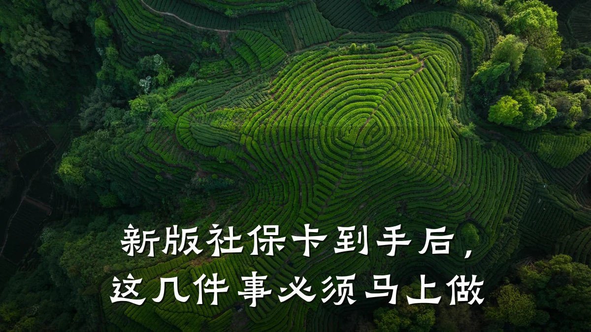 新版社保卡到手后,这几件事必须马上做