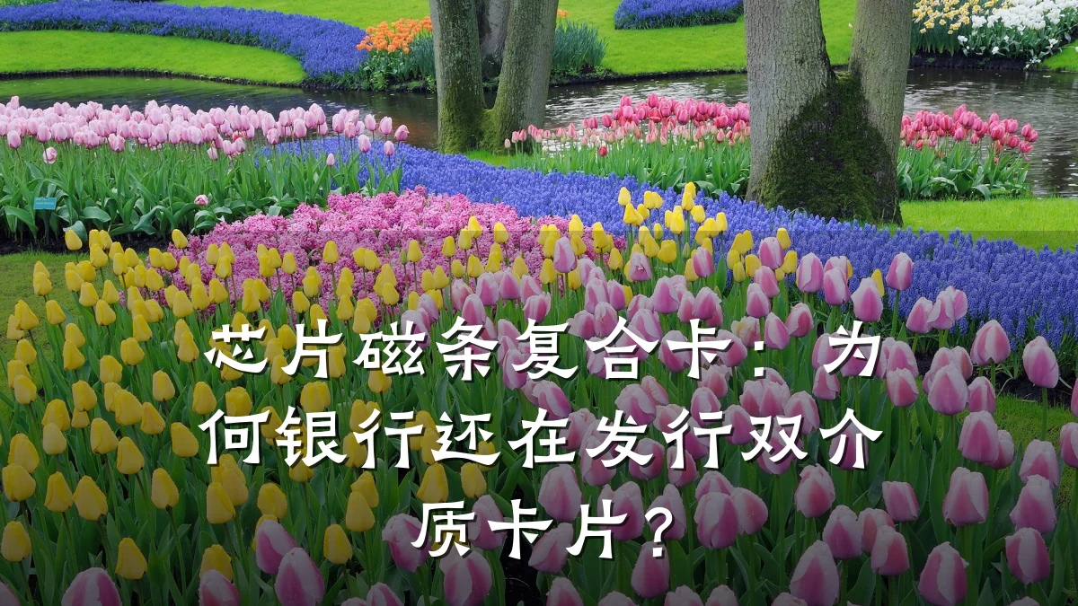 芯片磁条复合卡：为何银行还在发行双介质卡片？