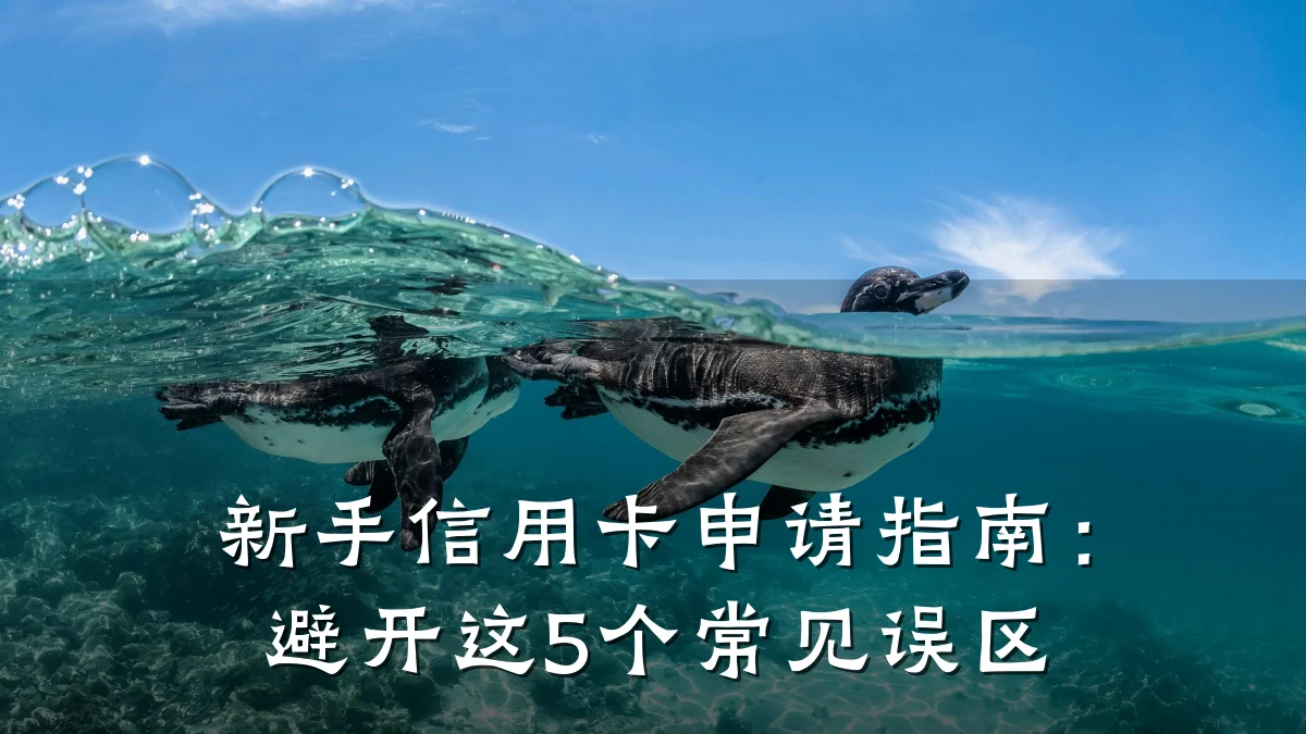 新手信用卡申请指南:避开这5个常见误区