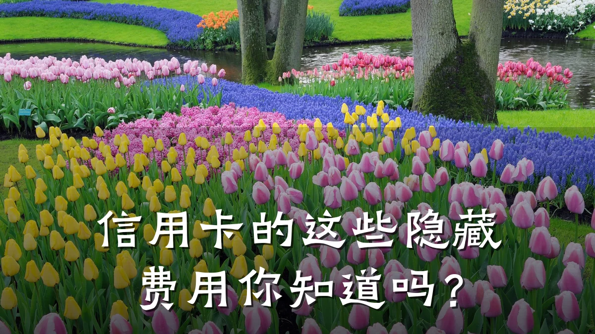 信用卡的这些隐藏费用你知道吗?