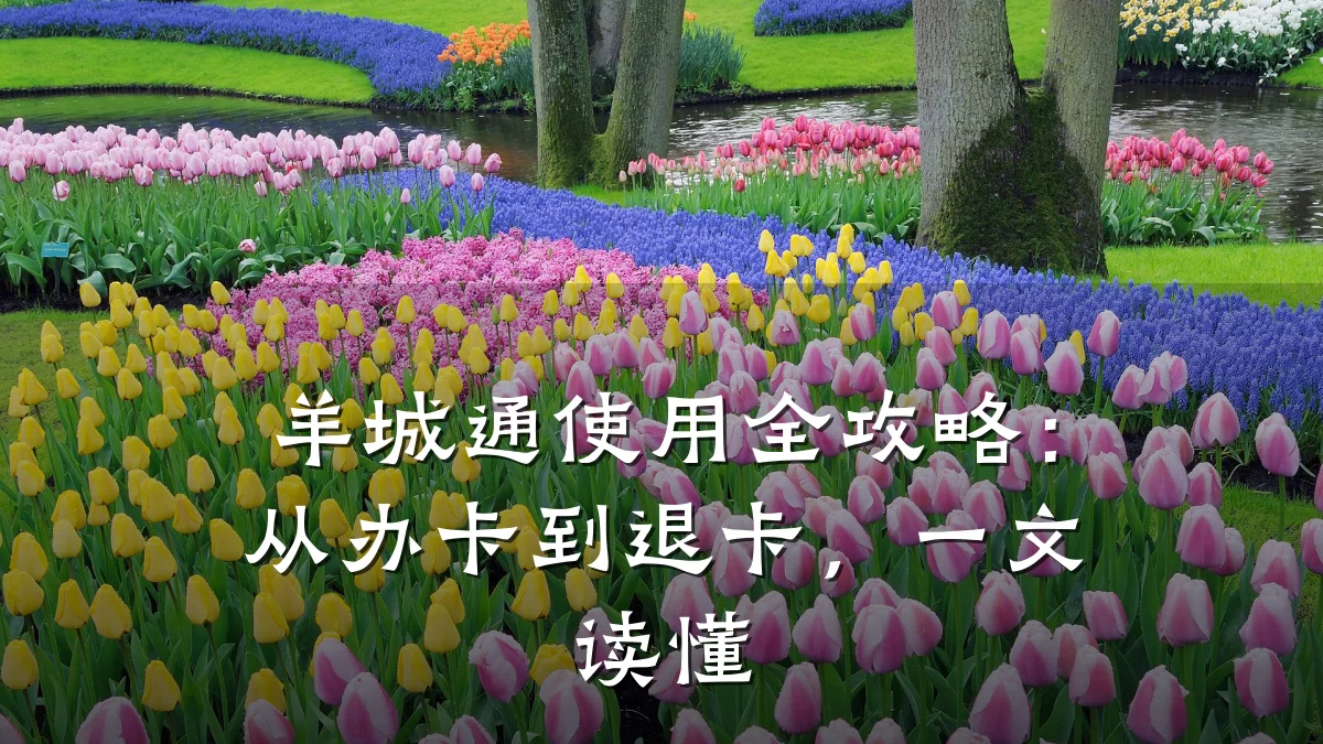 羊城通使用全攻略:从办卡到退卡,一文读懂