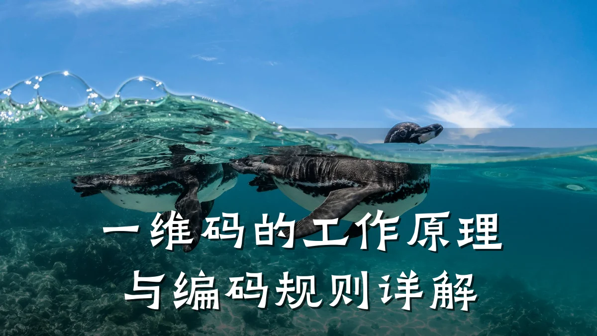 一维码的工作原理与编码规则详解