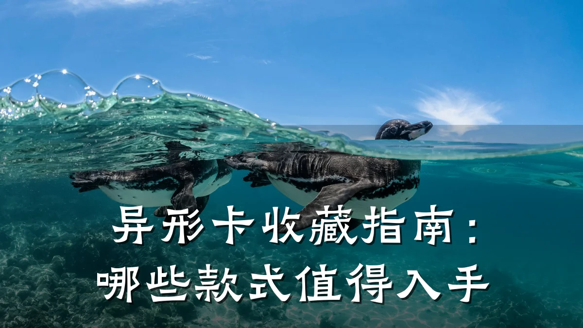 异形卡收藏指南:哪些款式值得入手