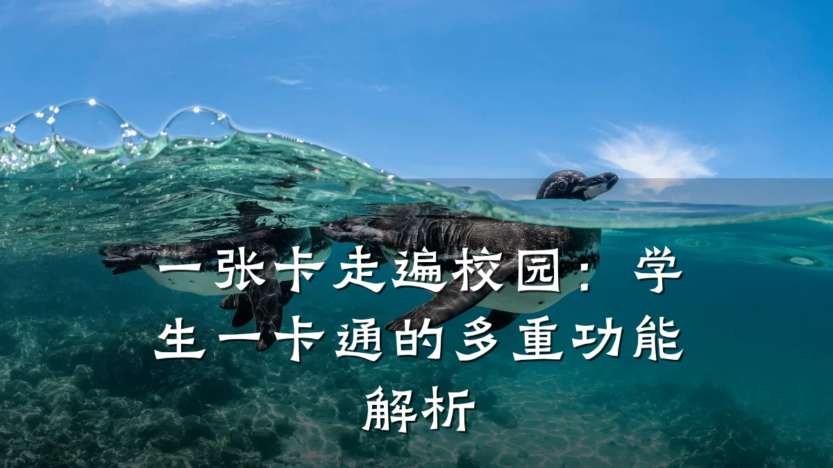 一张卡走遍校园:学生一卡通的多重功能解析