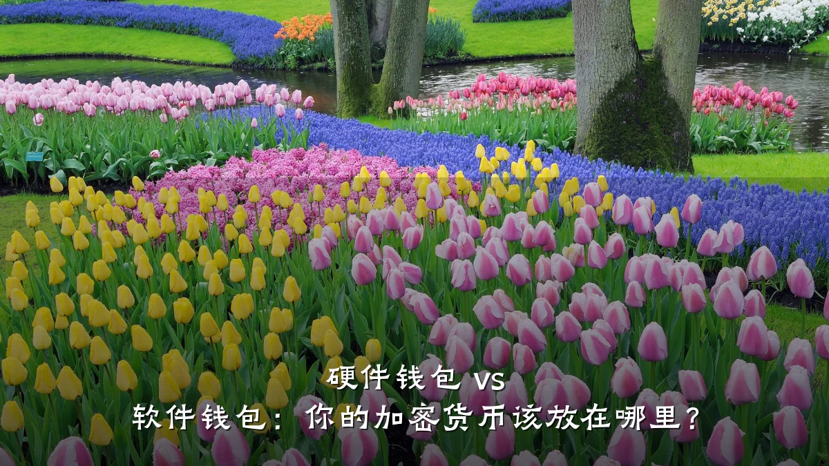硬件钱包 vs 软件钱包:你的加密货币该放在哪里?