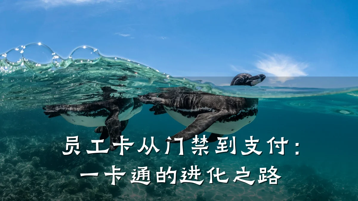 员工卡从门禁到支付:一卡通的进化之路