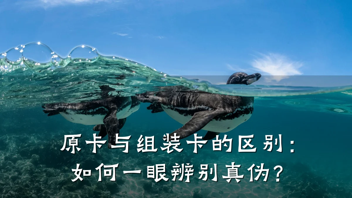 原卡与组装卡的区别:如何一眼辨别真伪?