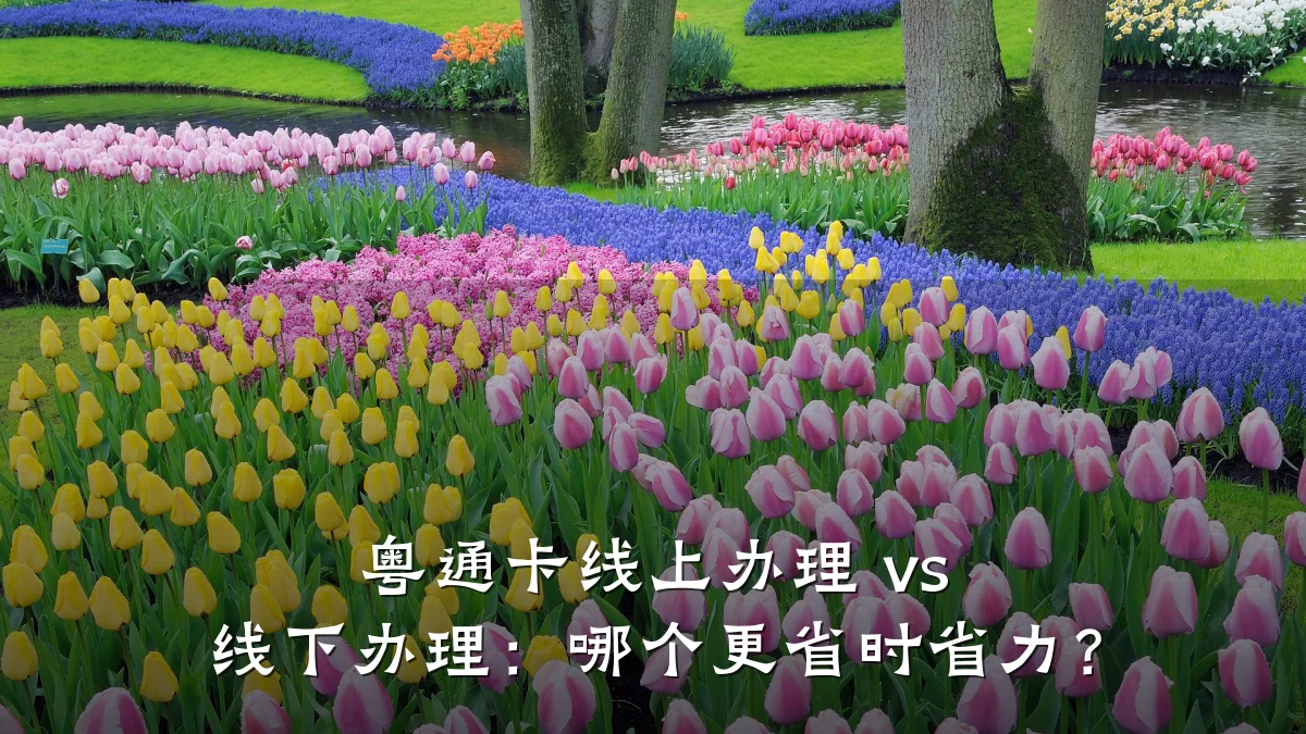 粤通卡线上办理 vs 线下办理:哪个更省时省力?