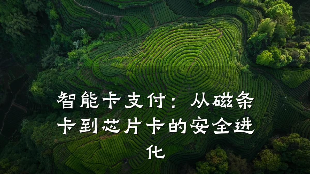 智能卡支付:从磁条卡到芯片卡的安全进化
