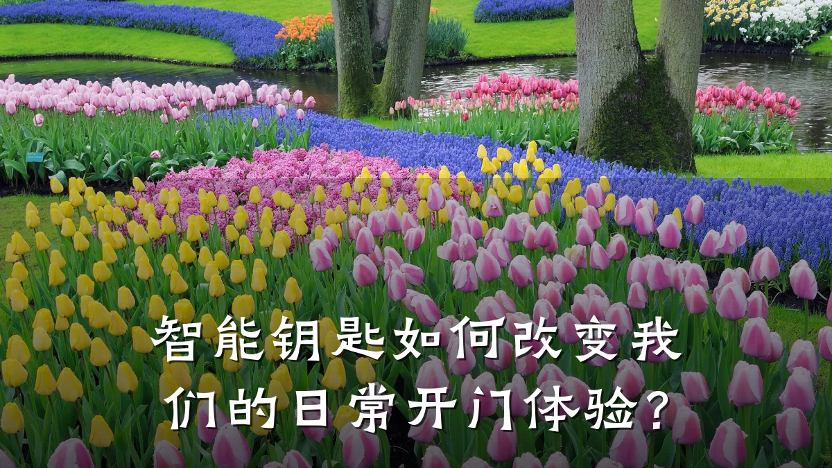 智能钥匙如何改变我们的日常开门体验?
