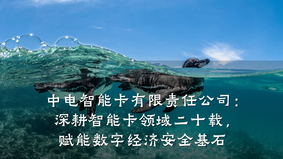 中电智能卡有限责任公司:深耕智能卡领域二十载,赋能数字经济安全基石