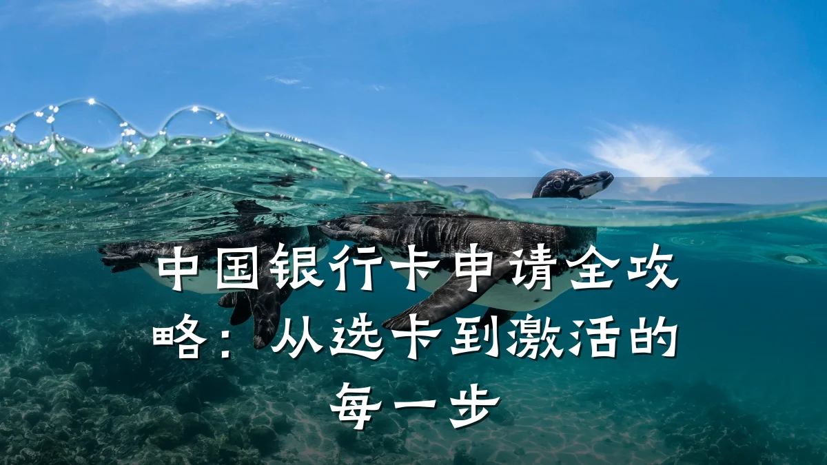 中国银行卡申请全攻略:从选卡到激活的每一步