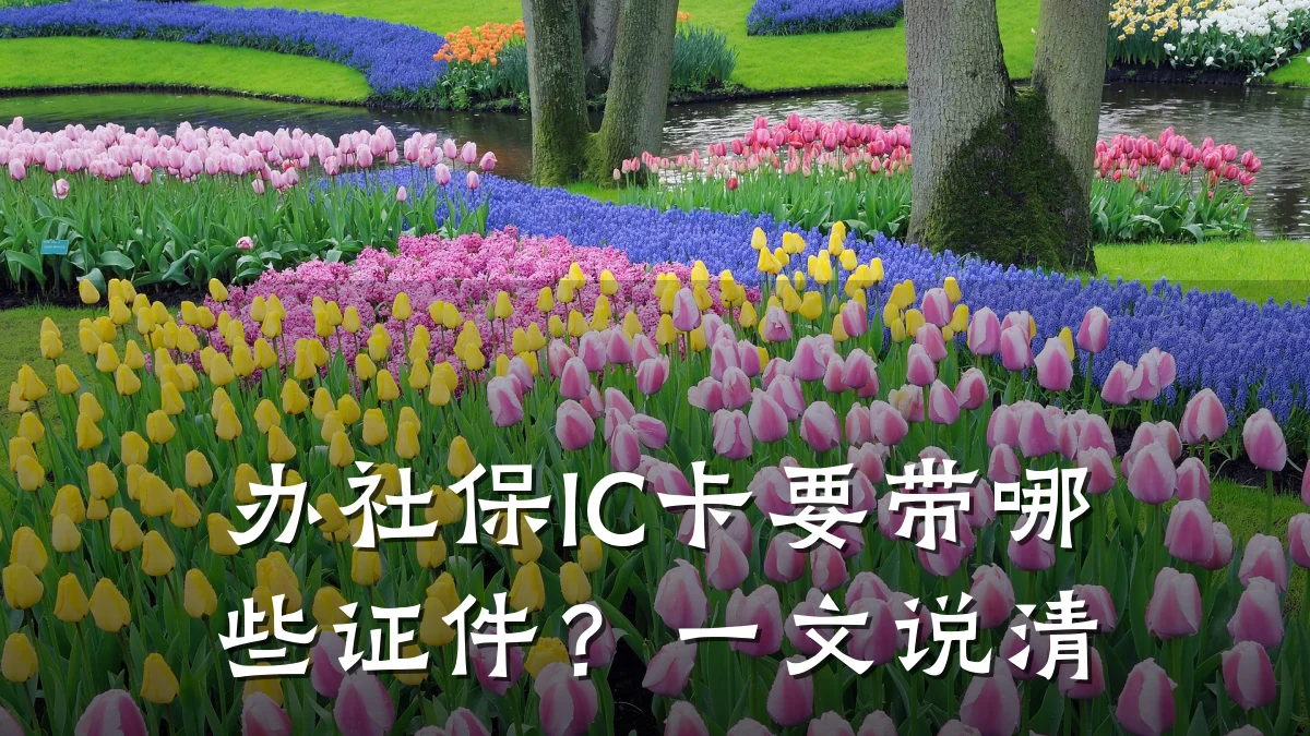 办社保IC卡要带哪些证件?一文说清