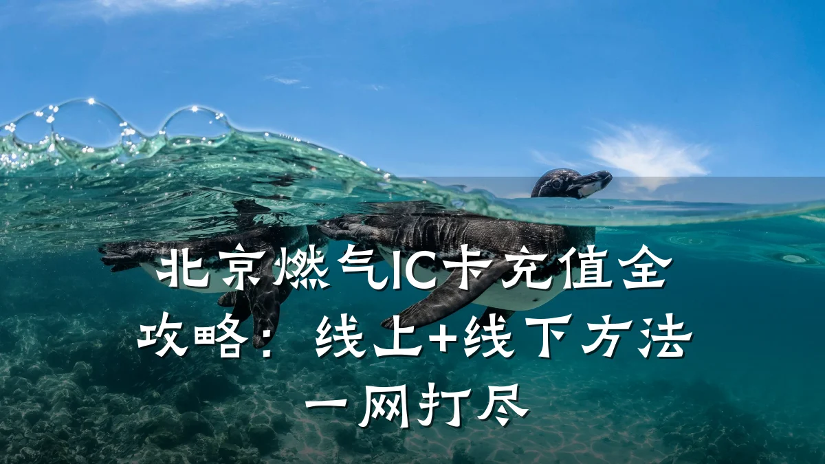 北京燃气IC卡充值全攻略:线上+线下方法一网打尽