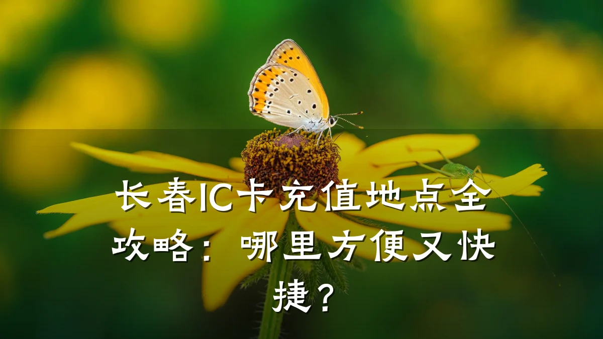 长春IC卡充值地点全攻略：哪里方便又快捷？