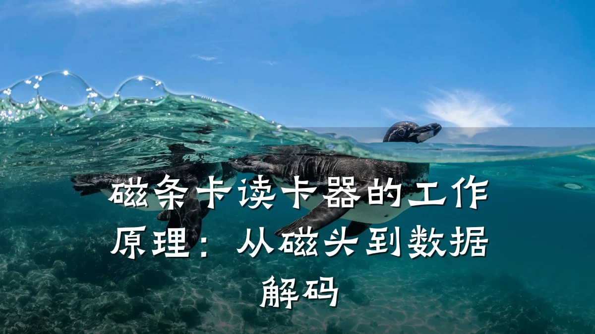 磁条卡读卡器的工作原理：从磁头到数据解码