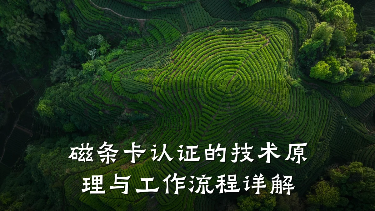 磁条卡认证的技术原理与工作流程详解