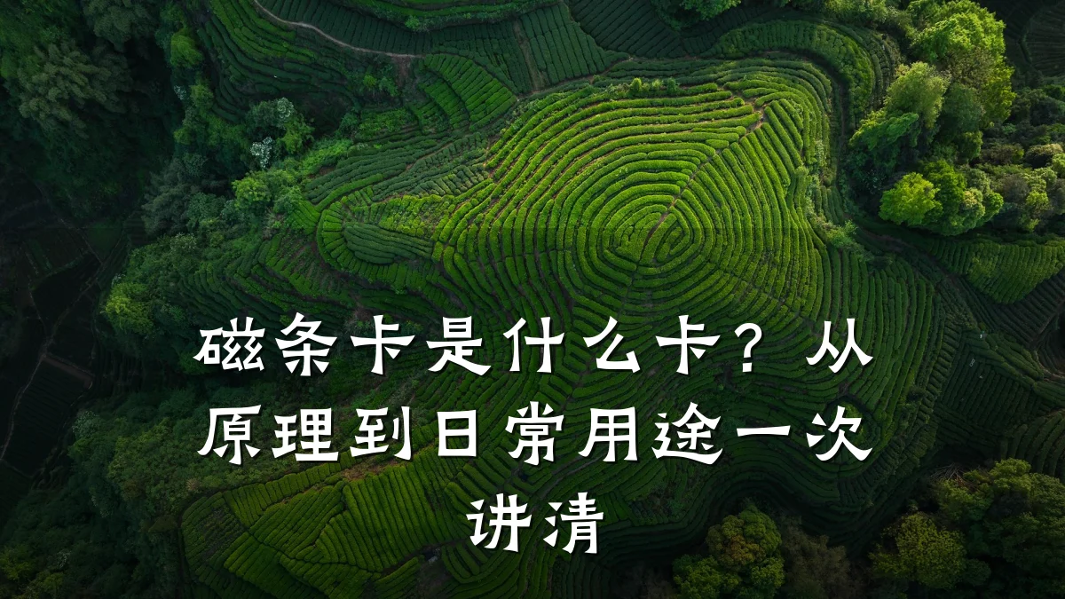 磁条卡是什么卡？从原理到日常用途一次讲清