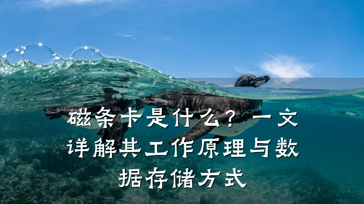 磁条卡是什么?一文详解其工作原理与数据存储方式
