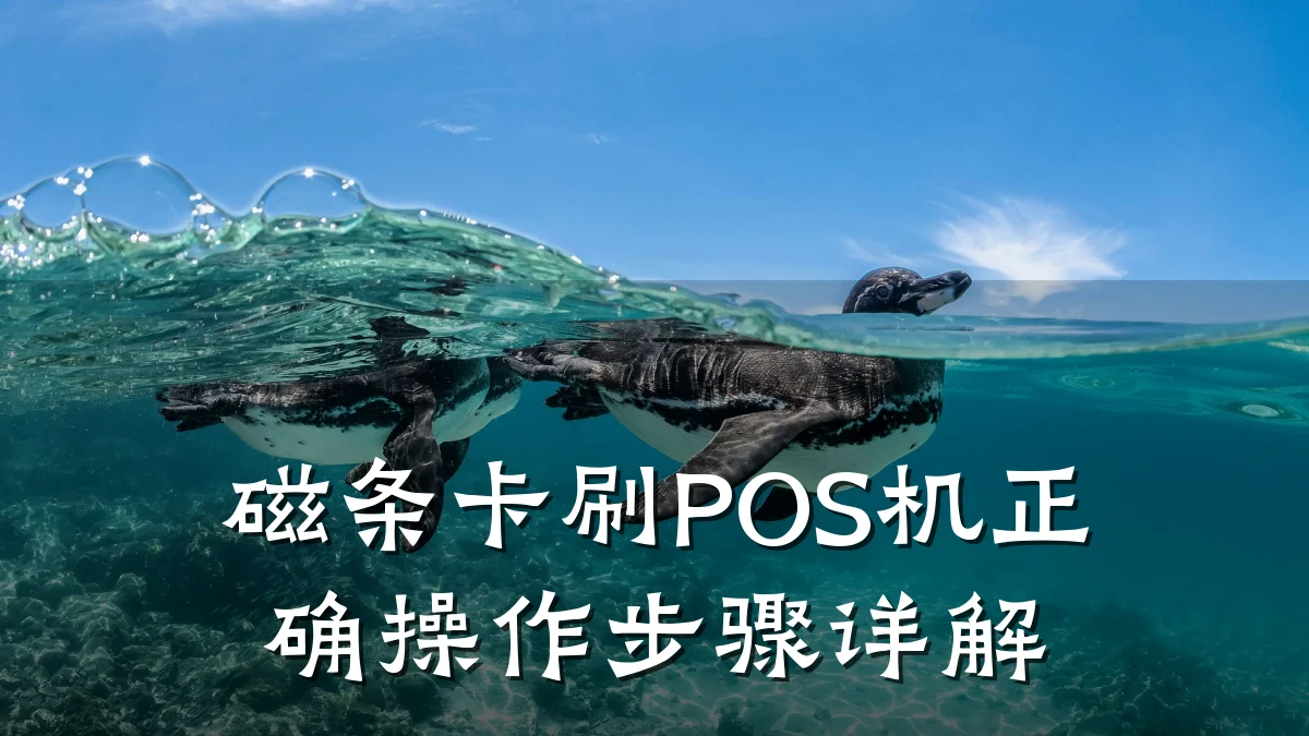 磁条卡刷POS机正确操作步骤详解