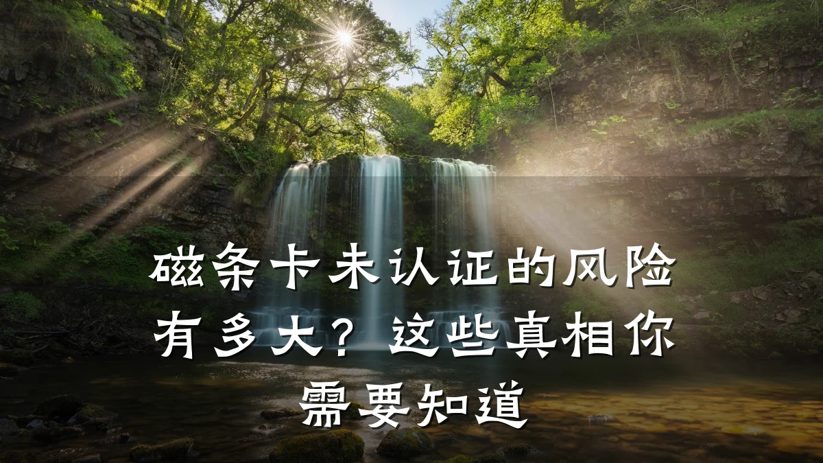 磁条卡未认证的风险有多大？这些真相你需要知道