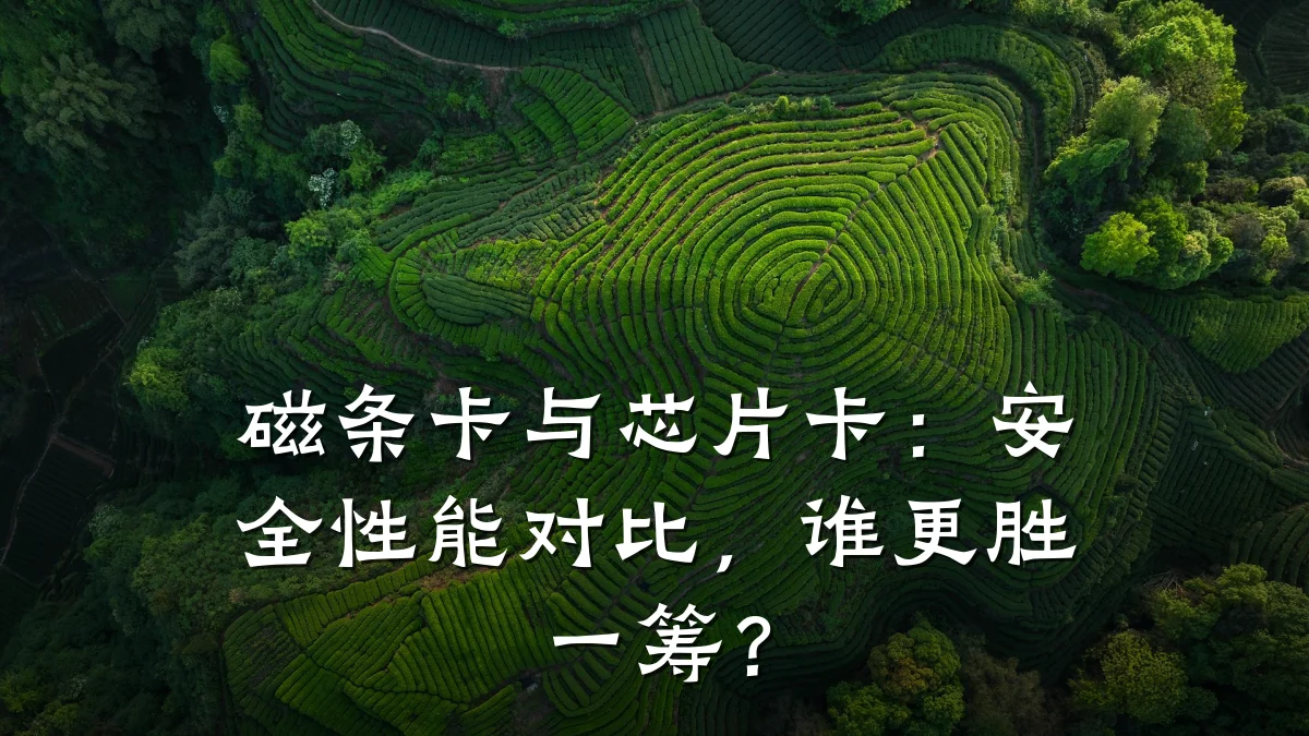 磁条卡与芯片卡:安全性能对比,谁更胜一筹?