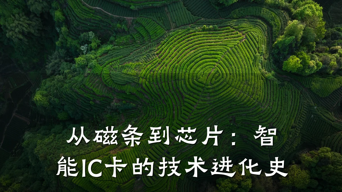 从磁条到芯片:智能IC卡的技术进化史