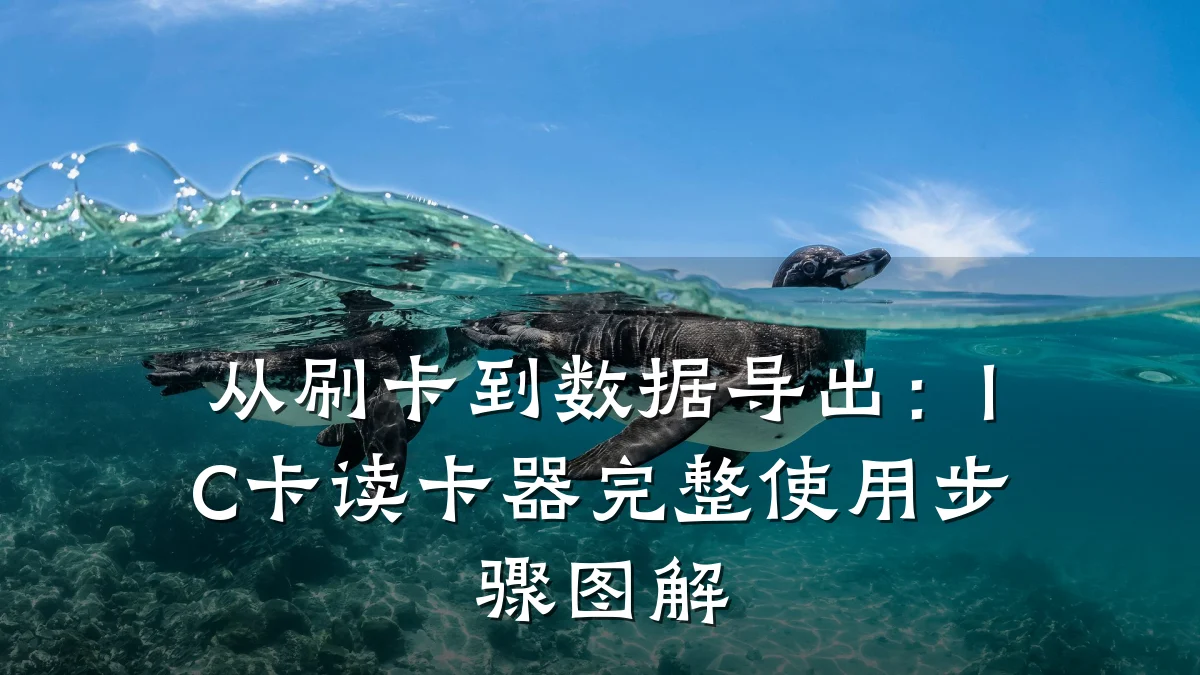 从刷卡到数据导出：IC卡读卡器完整使用步骤图解