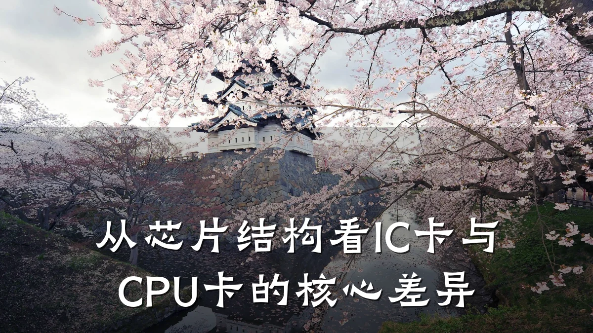 从芯片结构看IC卡与CPU卡的核心差异