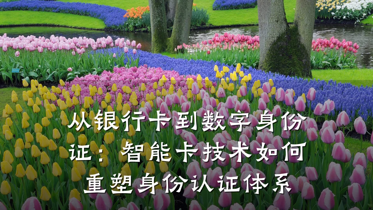 从银行卡到数字身份证:智能卡技术如何重塑身份认证体系