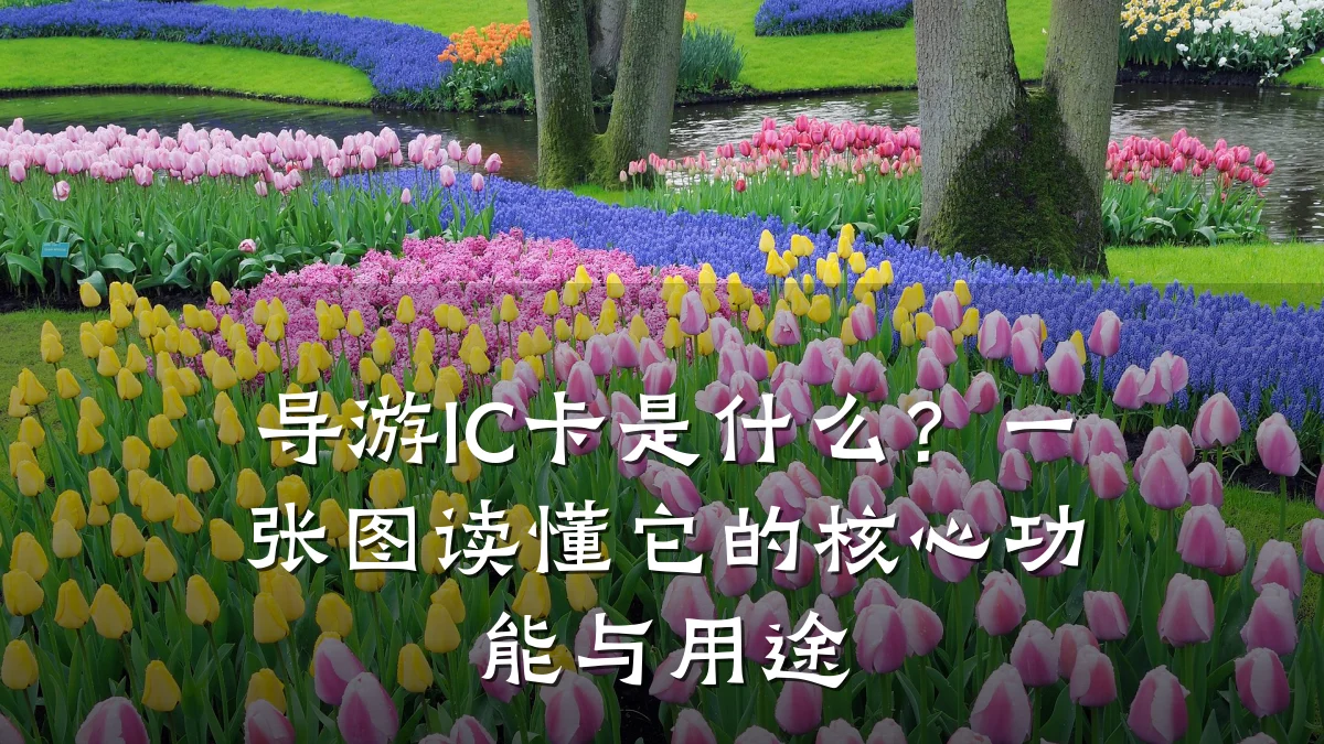 导游IC卡是什么?一张图读懂它的核心功能与用途