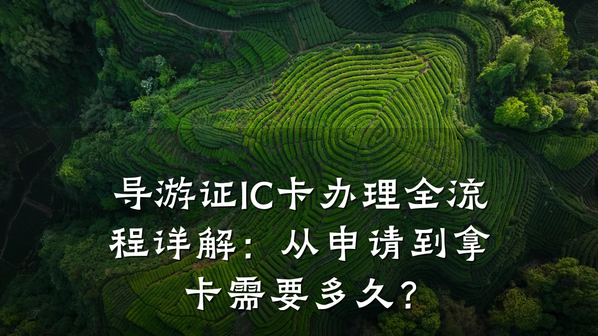 导游证IC卡办理全流程详解:从申请到拿卡需要多久?