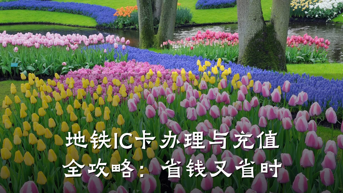 地铁IC卡办理与充值全攻略:省钱又省时