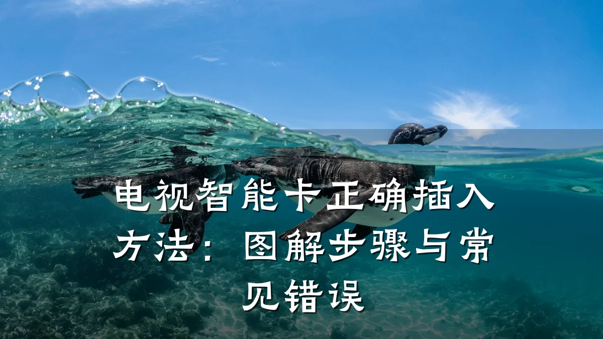 电视智能卡正确插入方法：图解步骤与常见错误