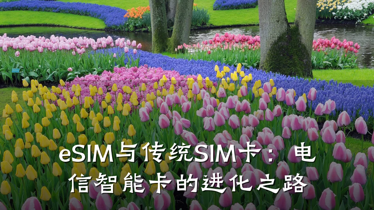 eSIM与传统SIM卡：电信智能卡的进化之路