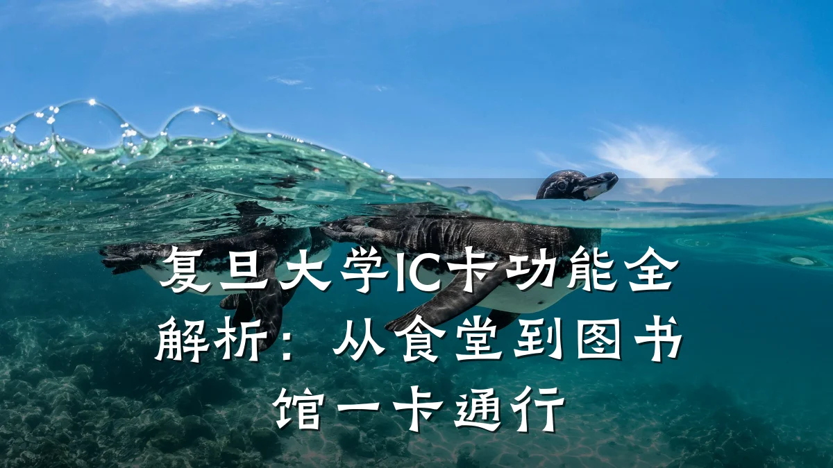 复旦大学IC卡功能全解析:从食堂到图书馆一卡通行